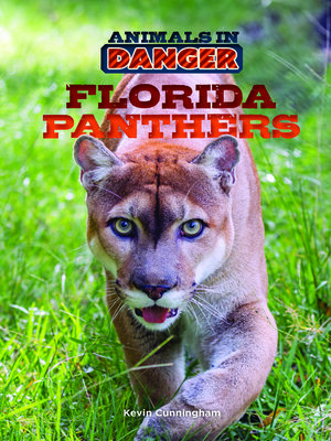 cover image of Florida Panthers